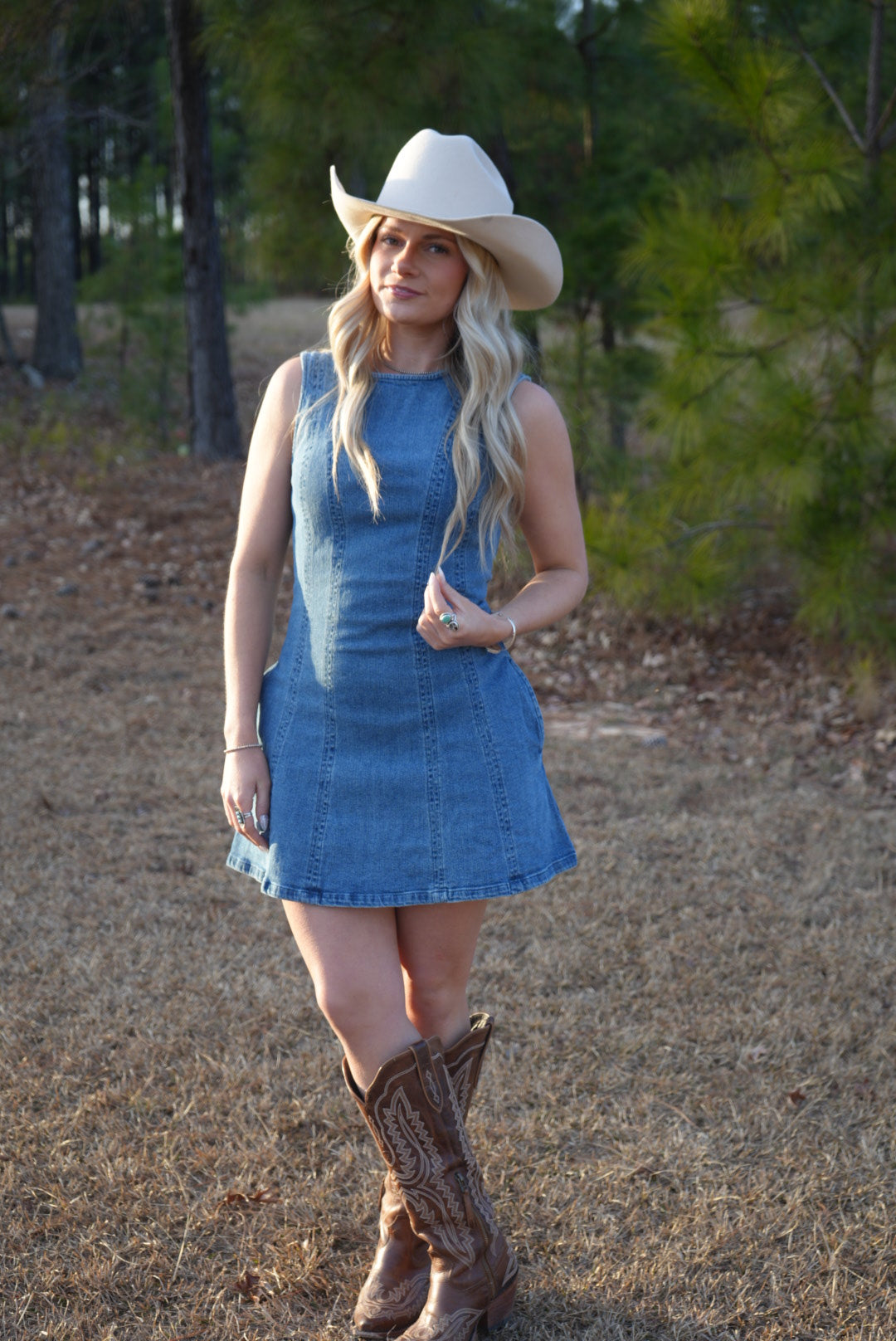 Denim Muse Dress
