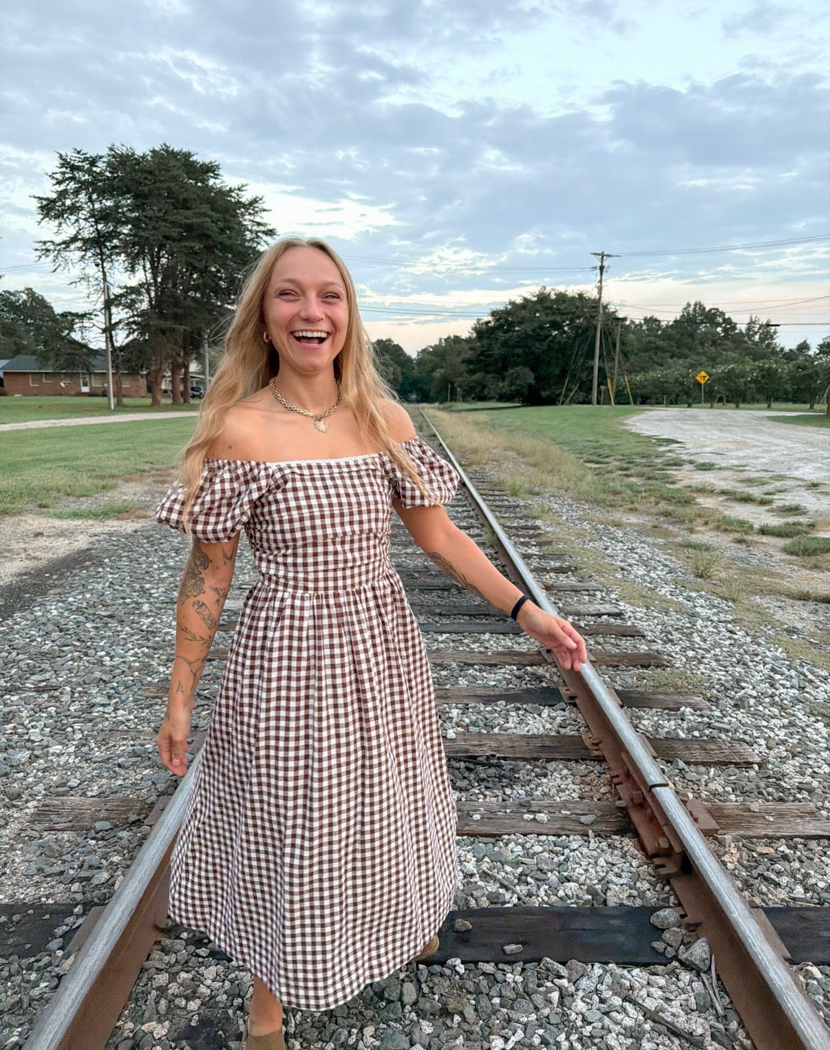 Gingham Darling Dress